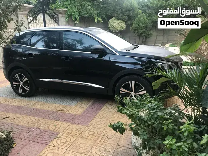 Peugeot 3008 2019 photo 3