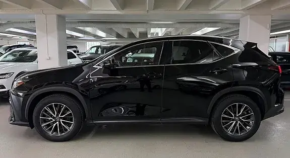 Lexus Nx450H+ 2023 photo 2