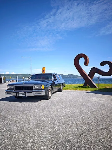 Chevrolet Caprice 1978 photo 2