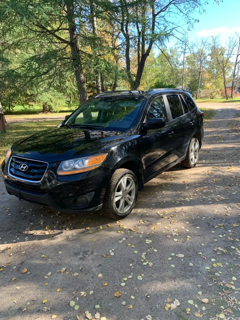 Hyundai Sante Fe 2010 photo 3