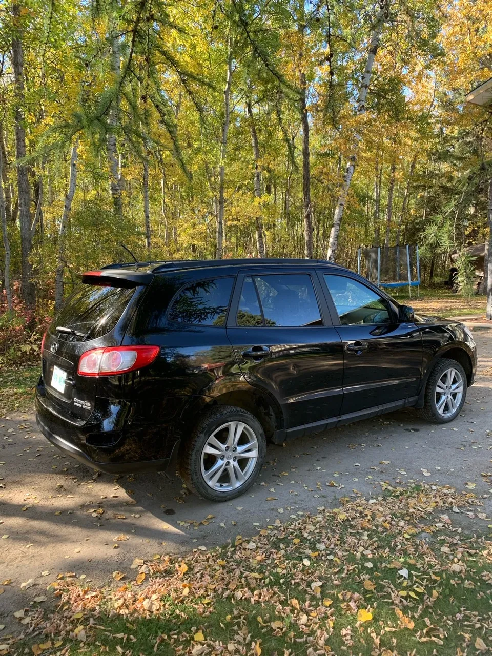Hyundai Sante Fe 2010 photo 2