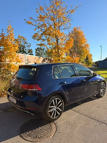 Volkswagen E-Golf Vii 2019 photo 4