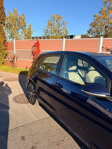Volkswagen E-Golf Vii 2019 photo 3