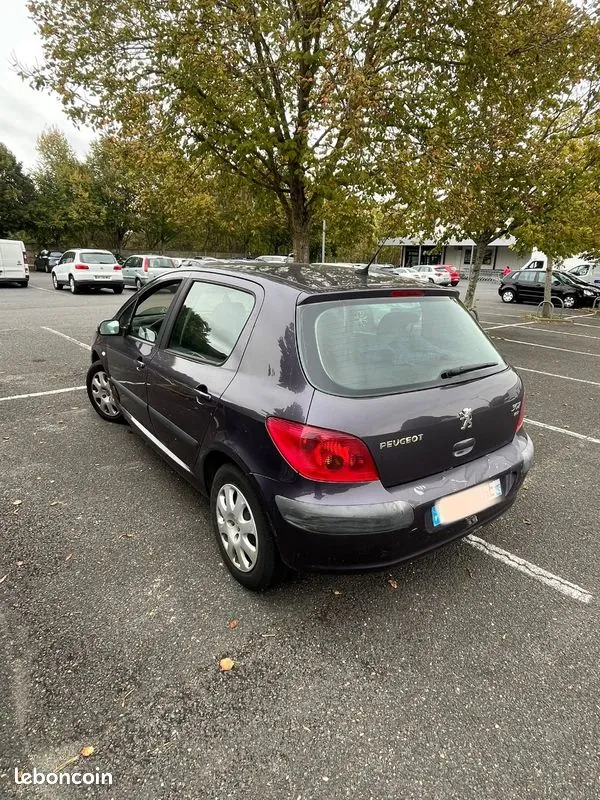 Peugeot 307 2004 photo 2