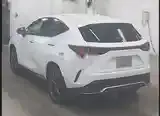 Lexus Nx 2025 photo 3