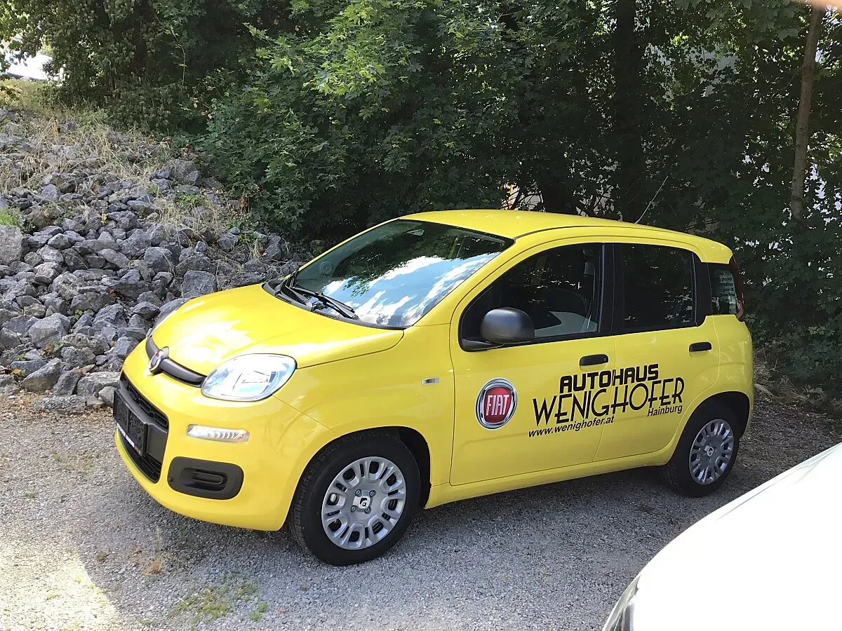Fiat Pandina