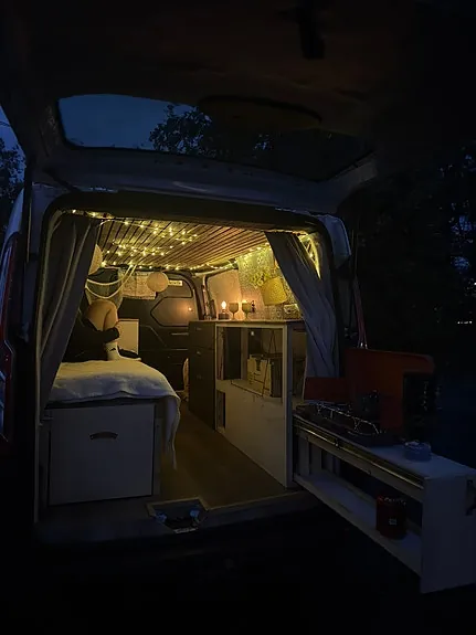 Ford Transit Custom 310L