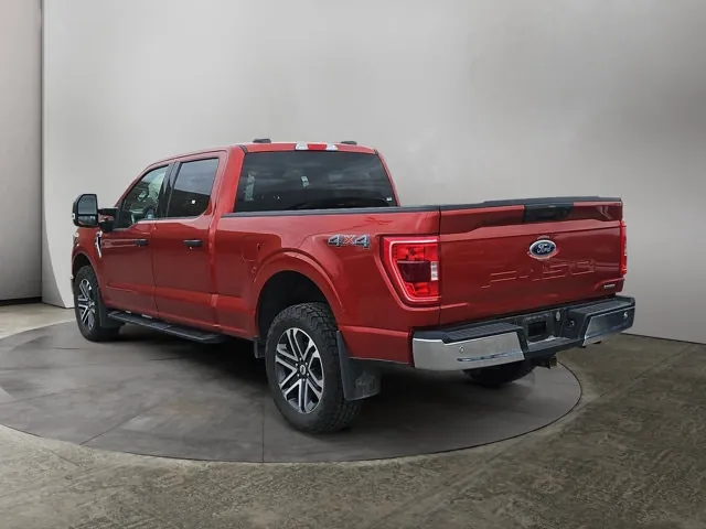 Ford F-150 2023 photo 3