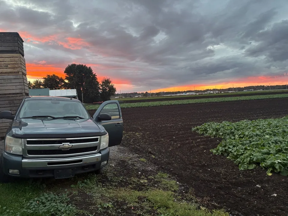 Chevrolet Silverado 1500 2007 photo 4
