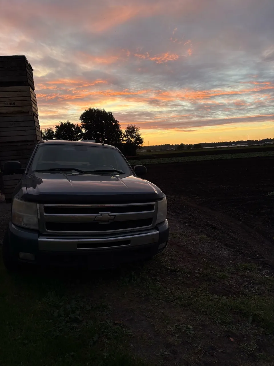 Chevrolet Silverado 1500 2007 photo 2
