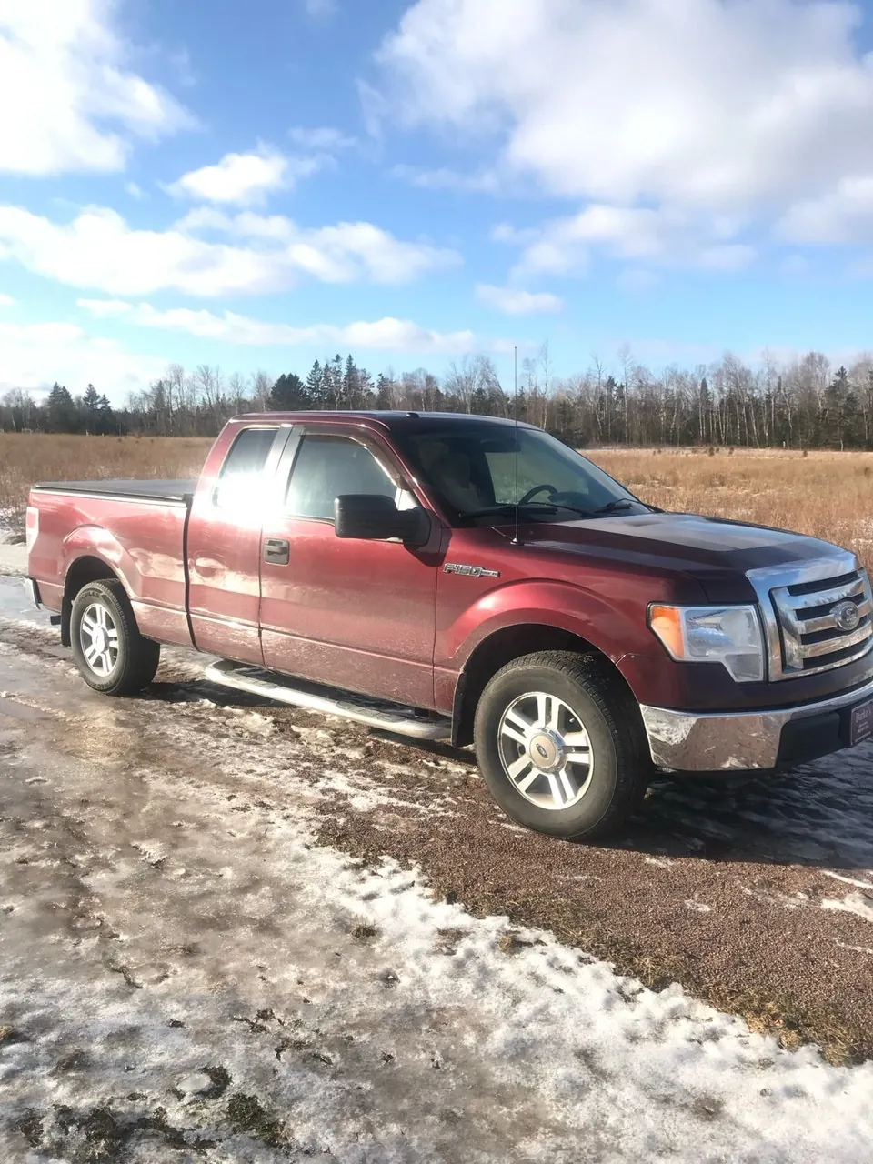 Ford F-150 2010 photo 2
