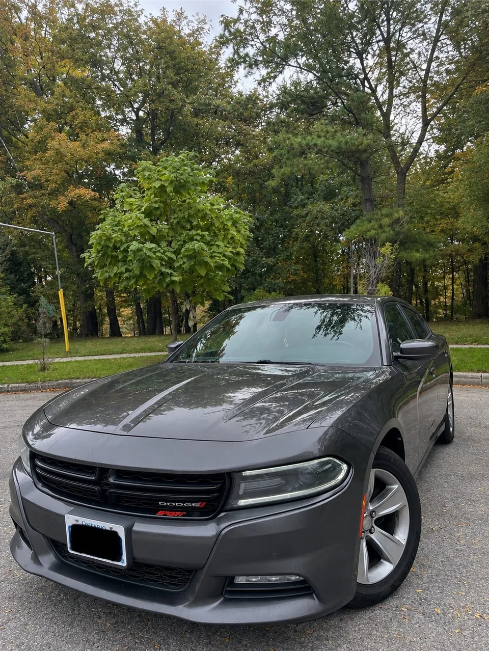 Dodge Charger 2016 photo 3