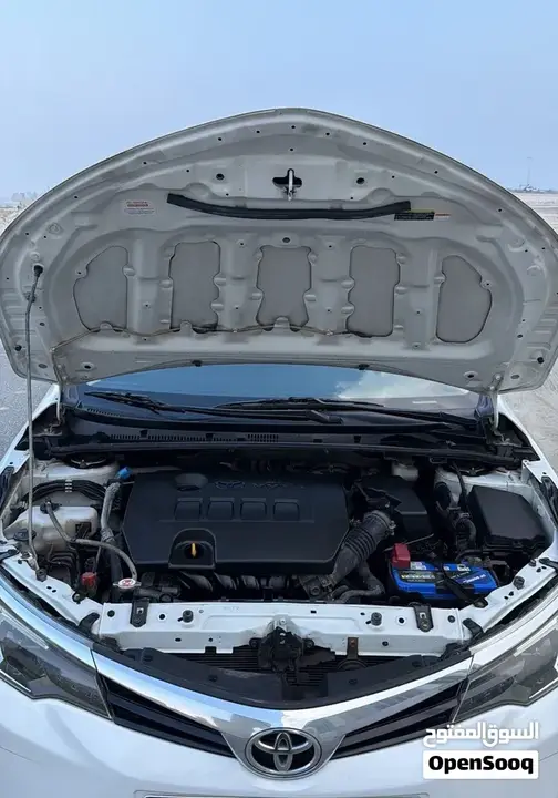 Toyota Corolla 2019 photo 3