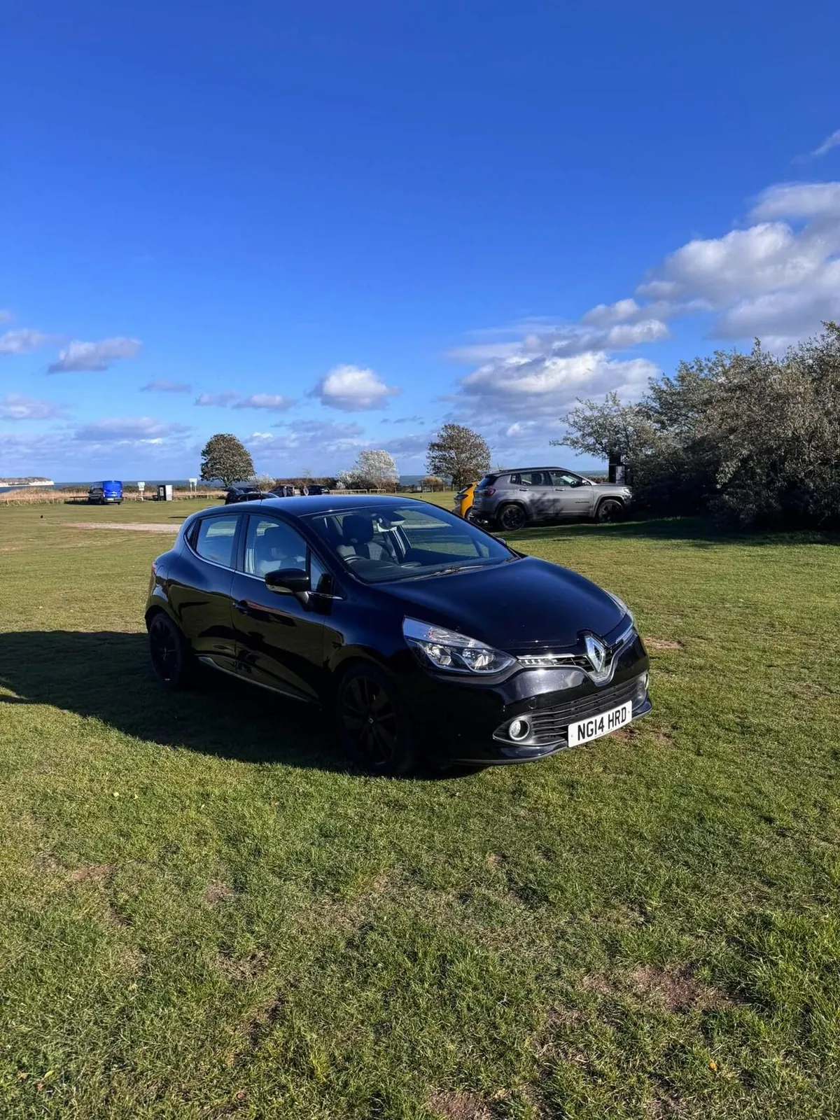 Renault Clio 2014 photo 2