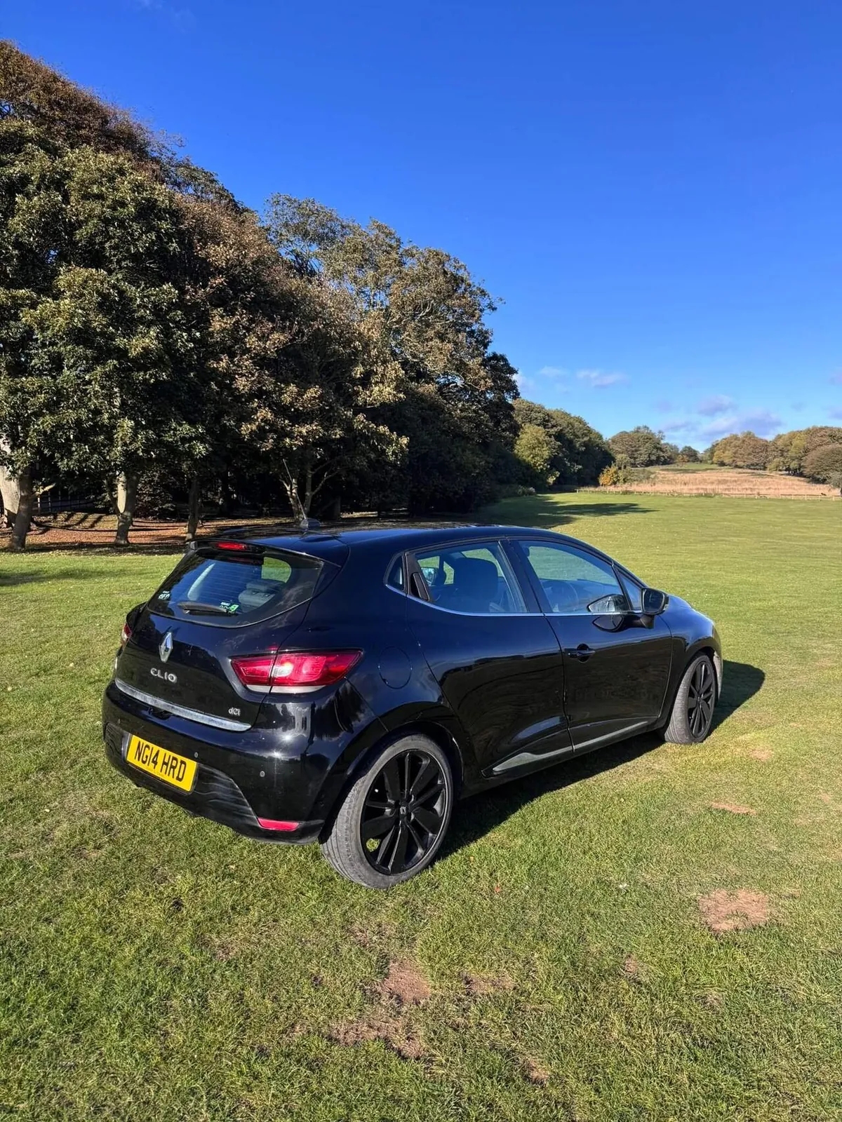 Renault Clio 2014 photo 3