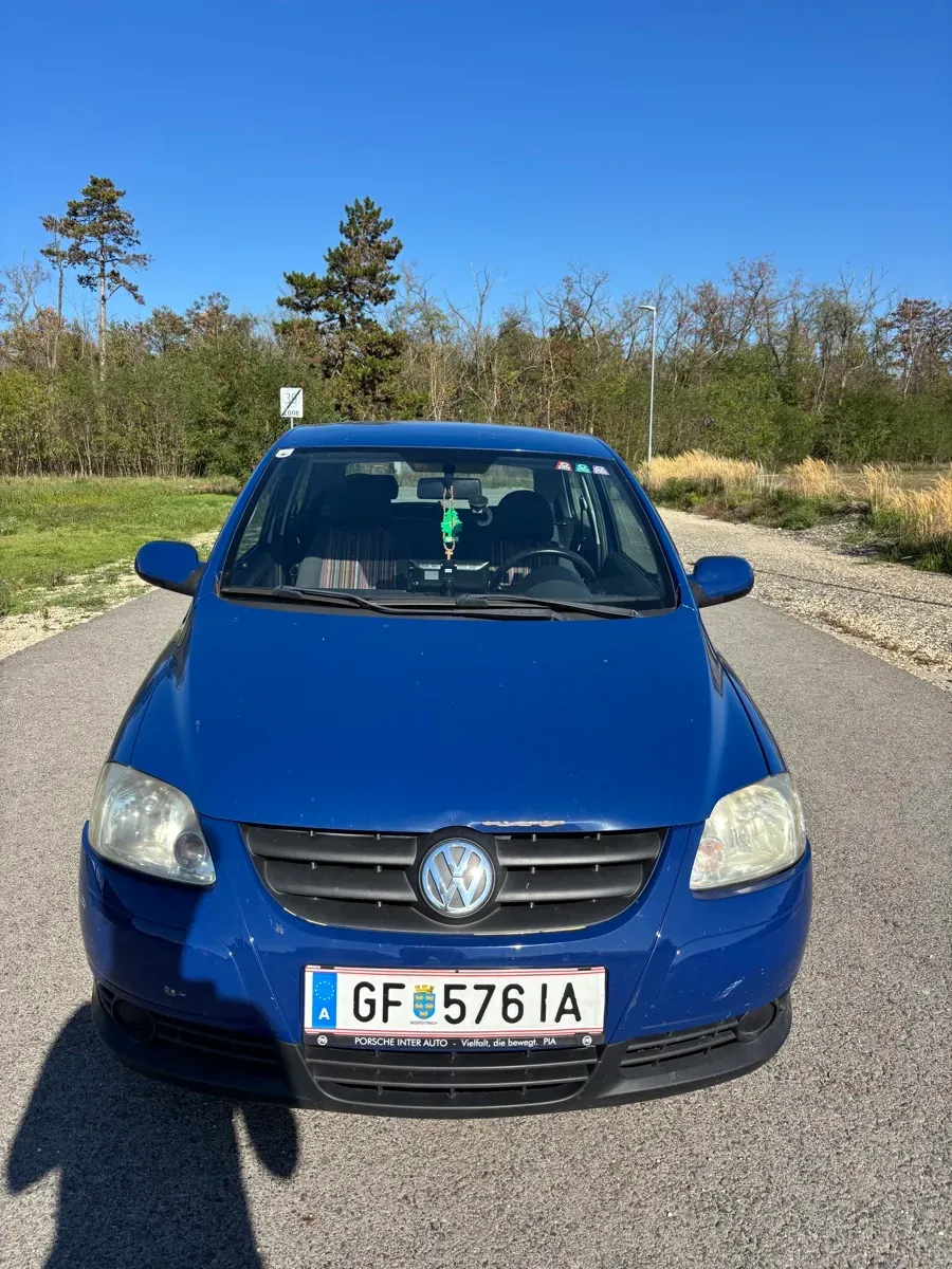 Volkswagen Fox 2010 photo 2