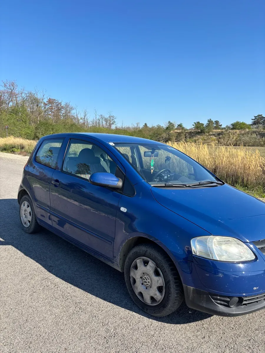 Volkswagen Fox 2010 photo 3