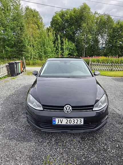 Volkswagen Golf Vii 2014 photo 2