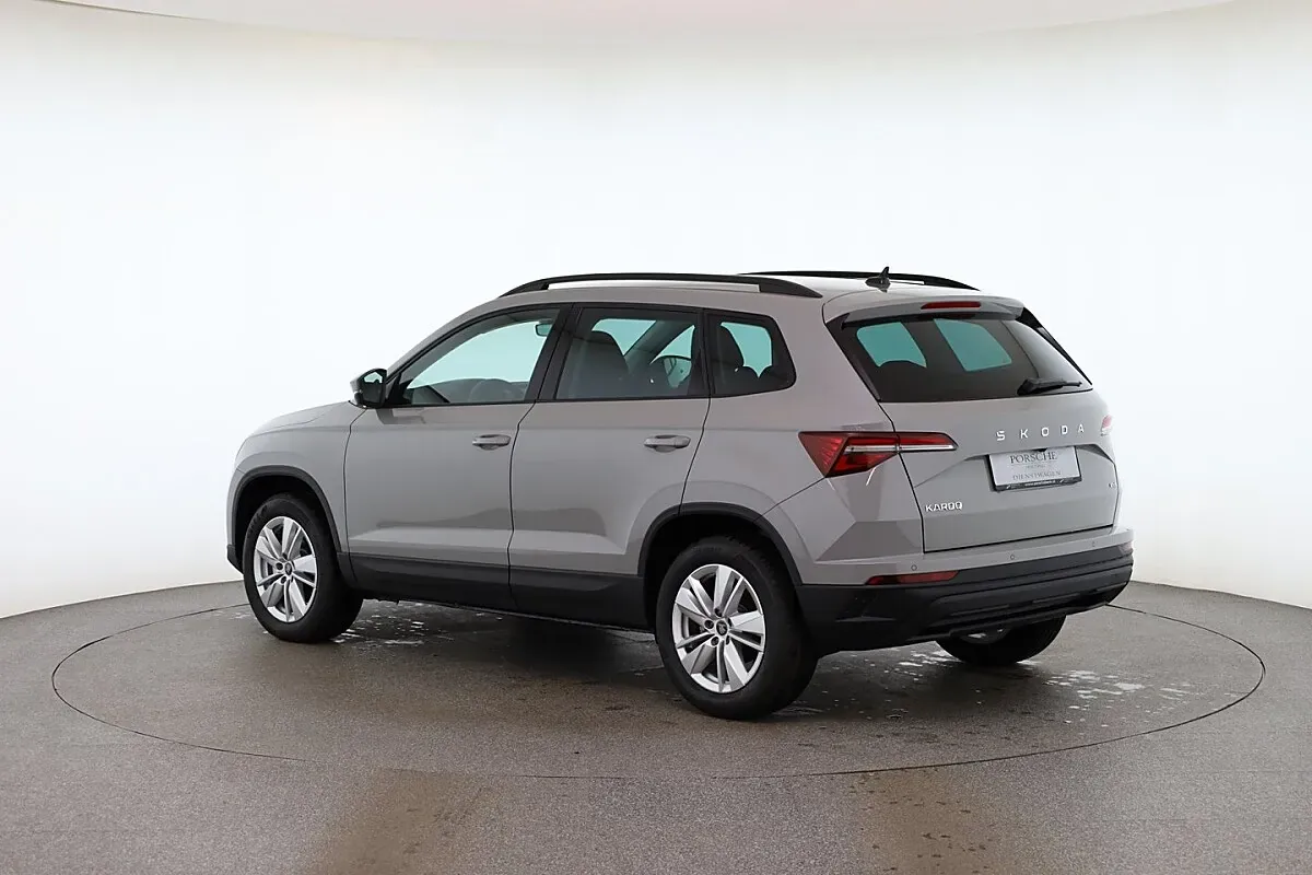 Skoda Karoq 2026 photo 3