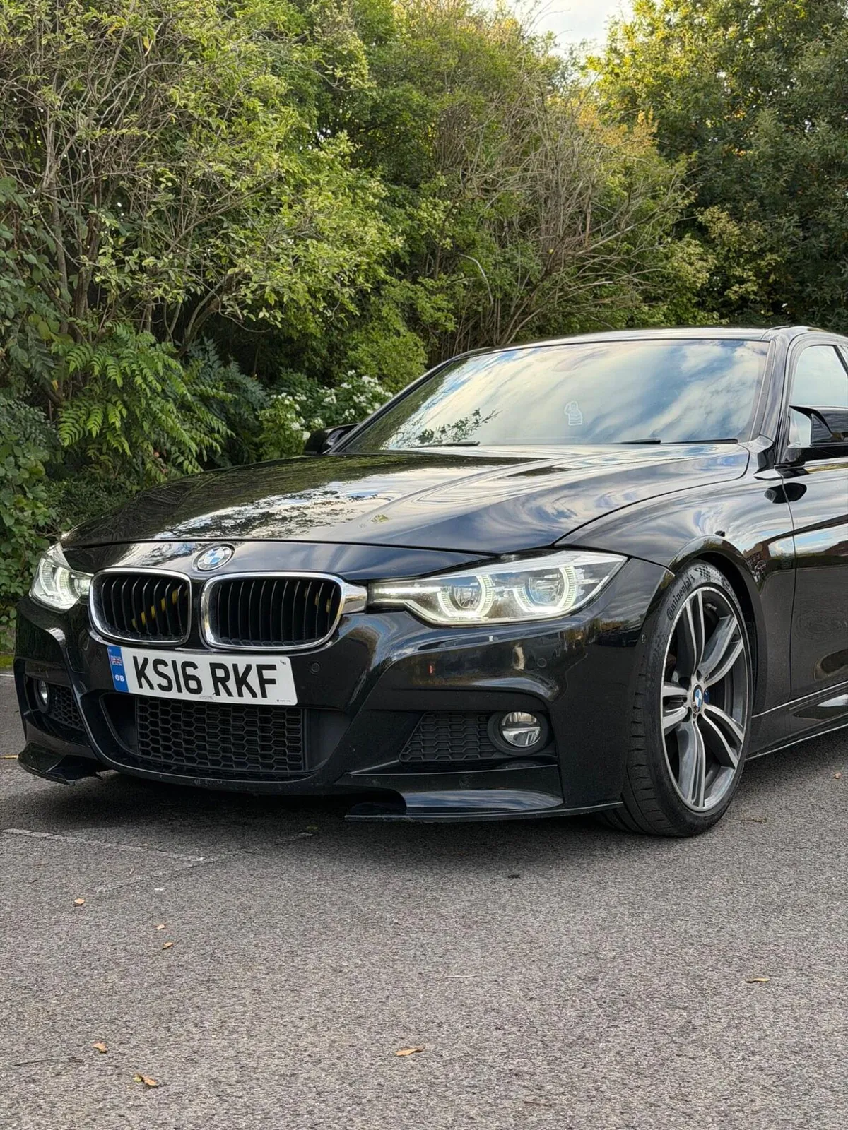 BMW 3 Series 2016 photo 2