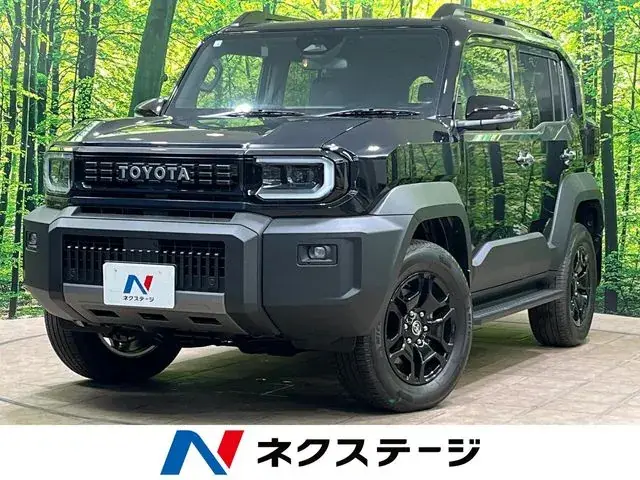 Toyota Land Cruiser Fj