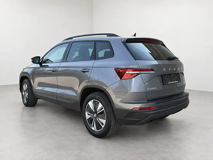 Skoda Karoq 2023 photo 3