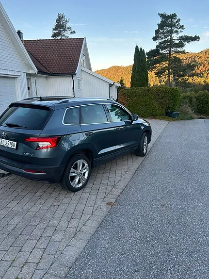 Skoda Karoq 2018 photo 4