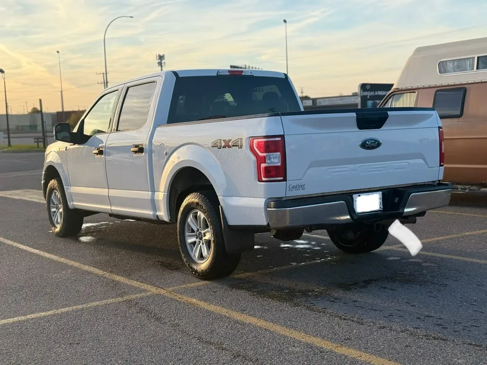 Ford F-150 2020 photo 3