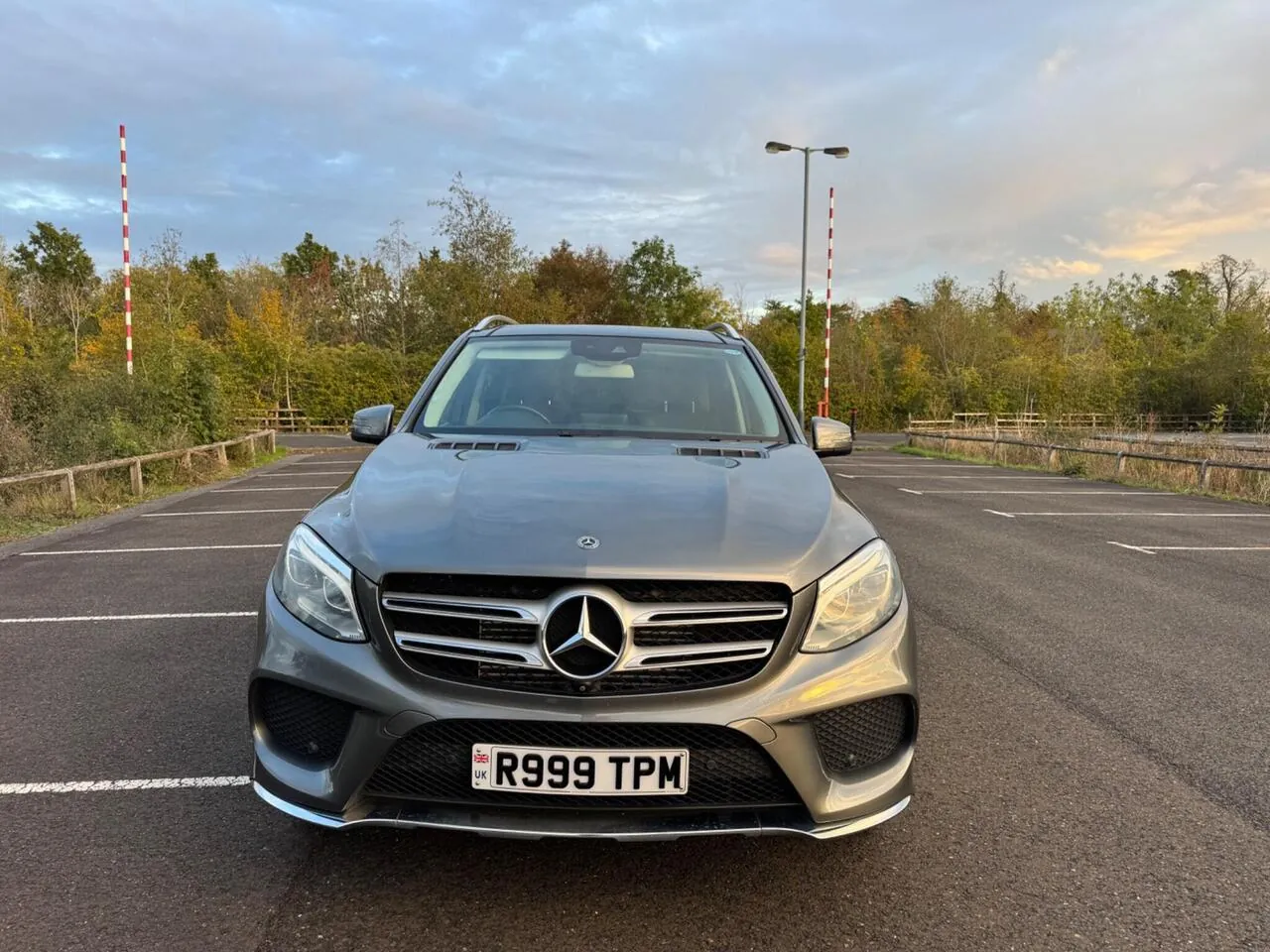 Mercedes-Benz Gle 250D 2017 photo 2
