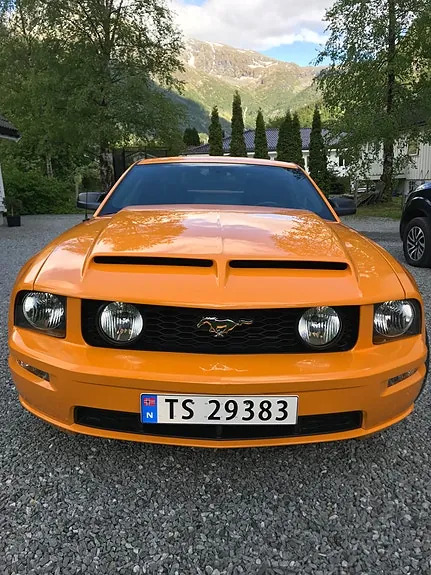 Ford Mustang 2007 photo 3