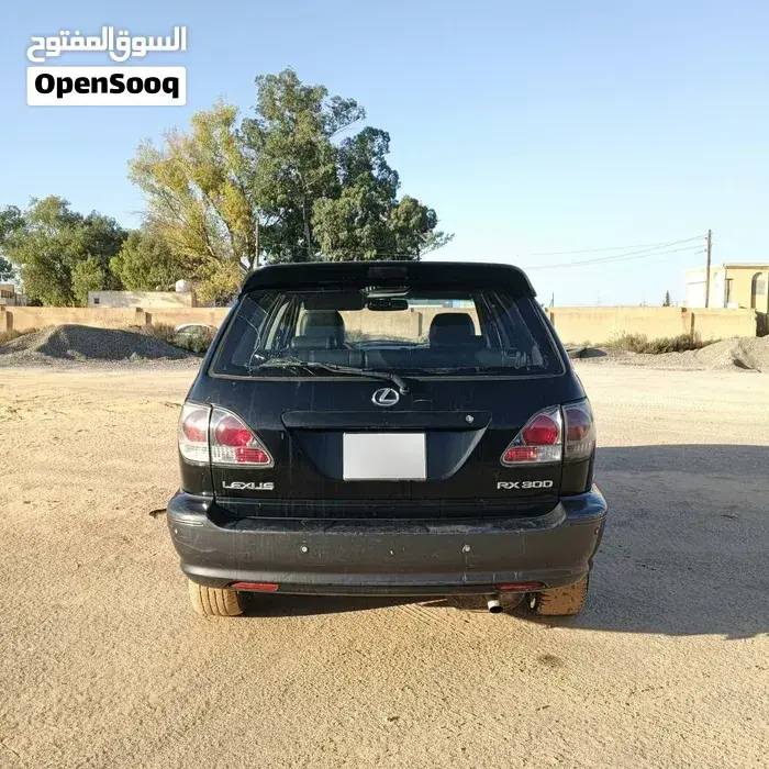 Lexus Rx 2004 photo 2