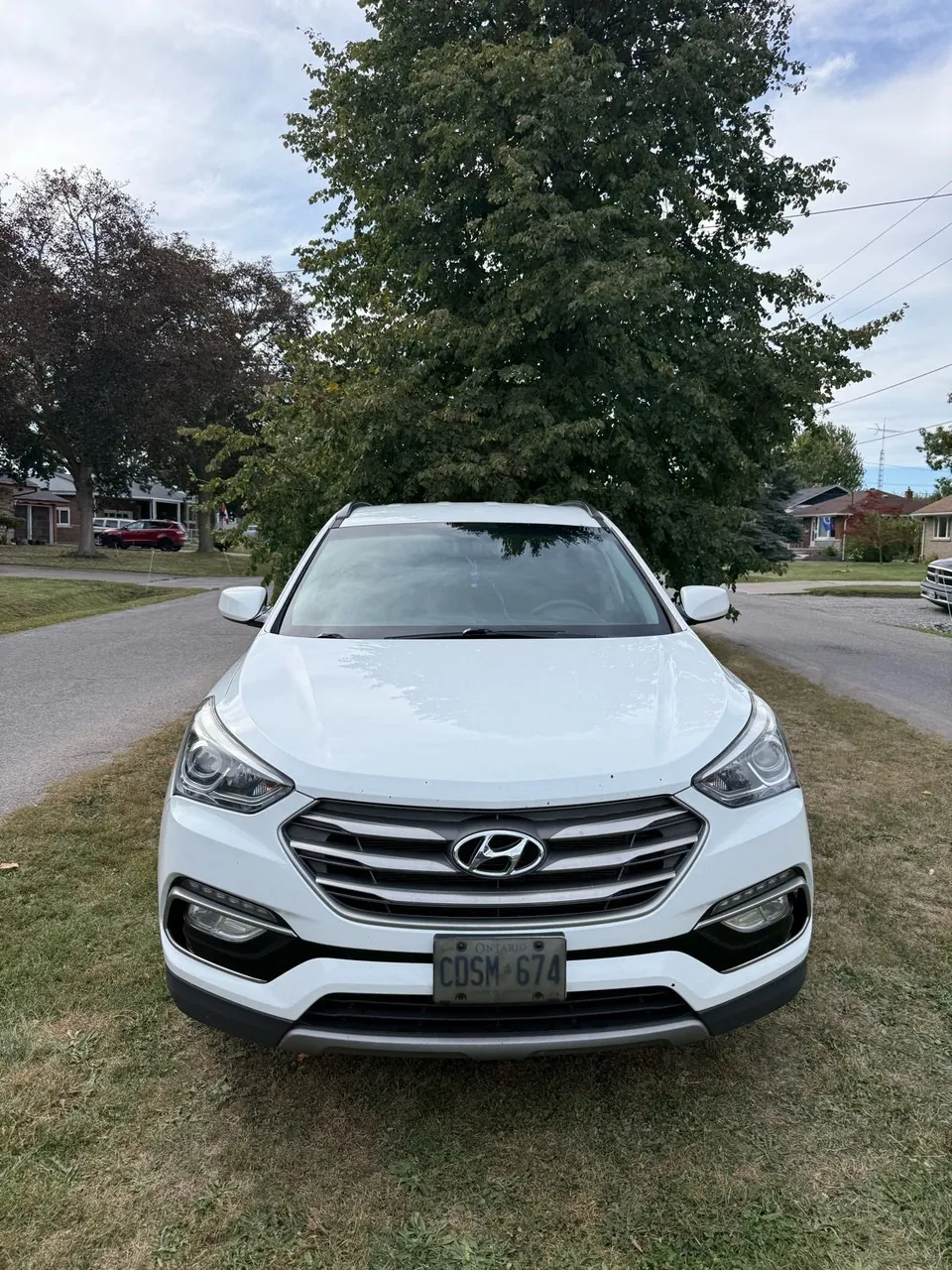 Hyundai Santa Fe 2017 photo 5