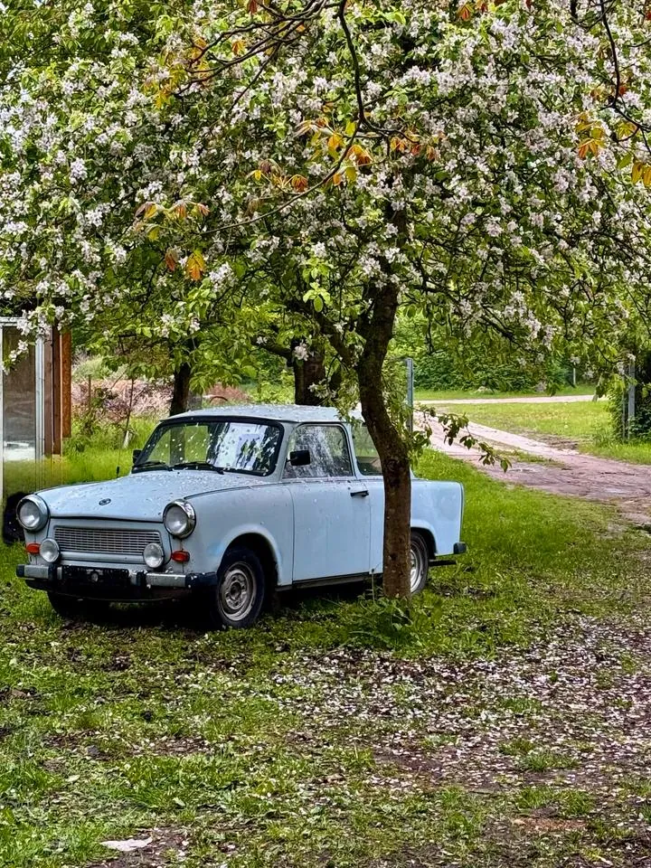 Trabant Deluxe