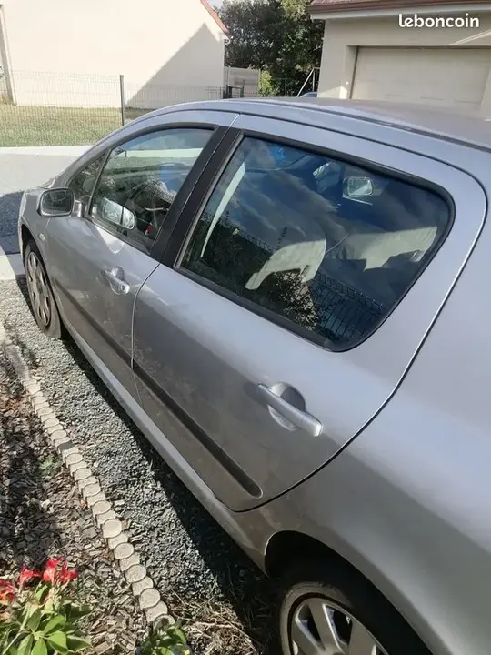 Peugeot 307 2004 photo 2