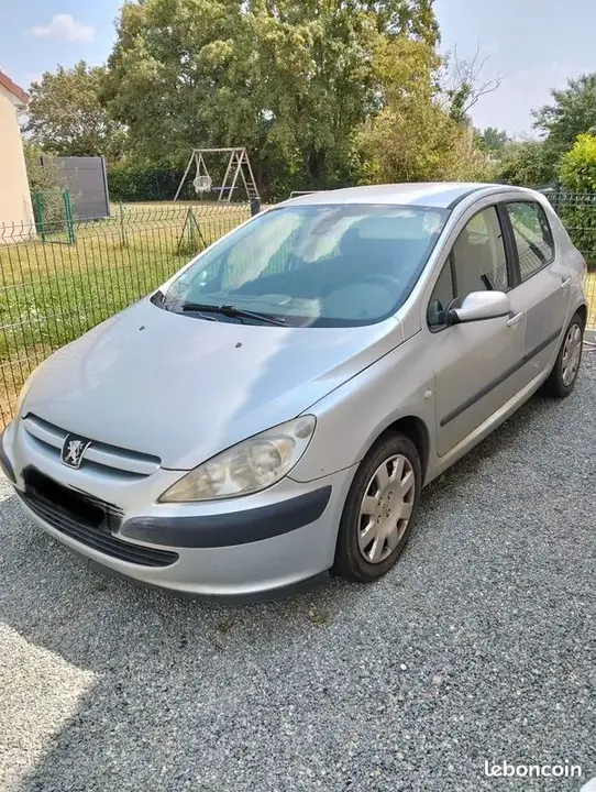 Peugeot 307 2004 photo 3