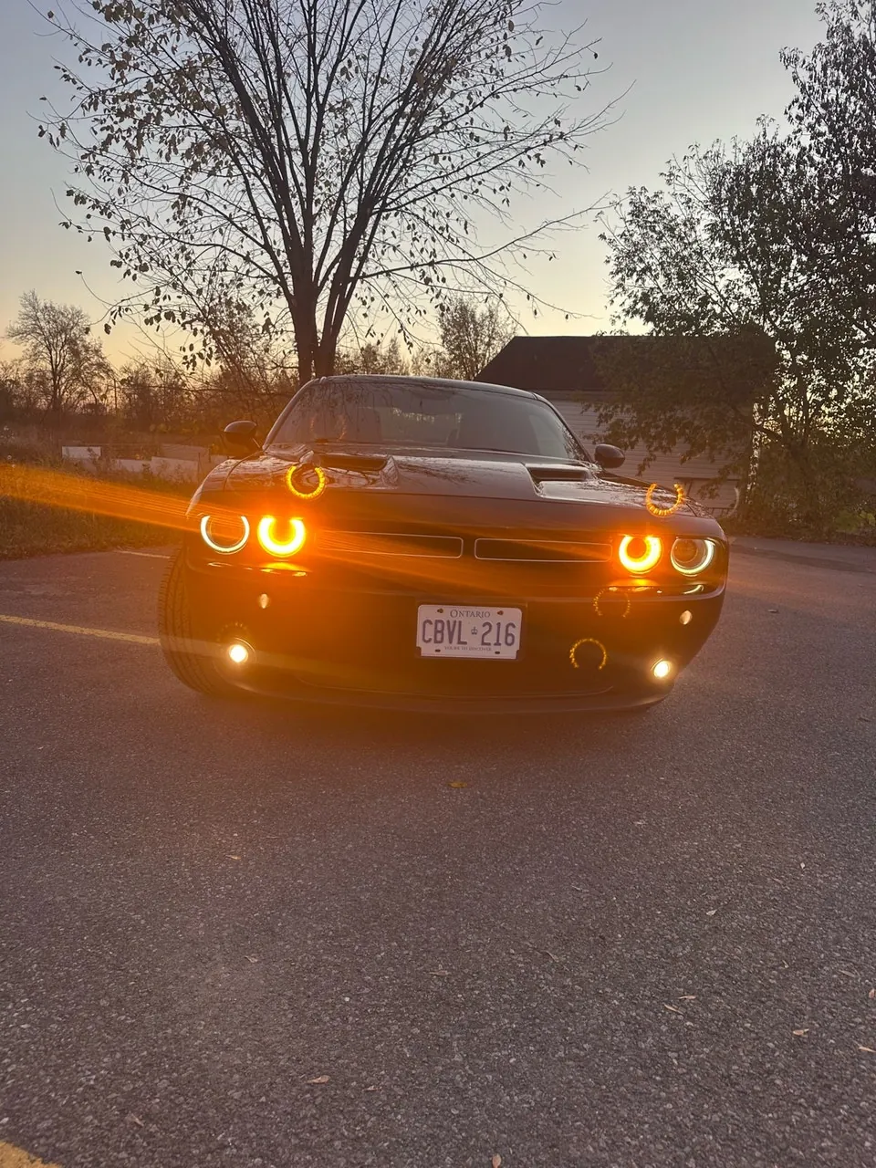 Dodge Challenger 2016 photo 2