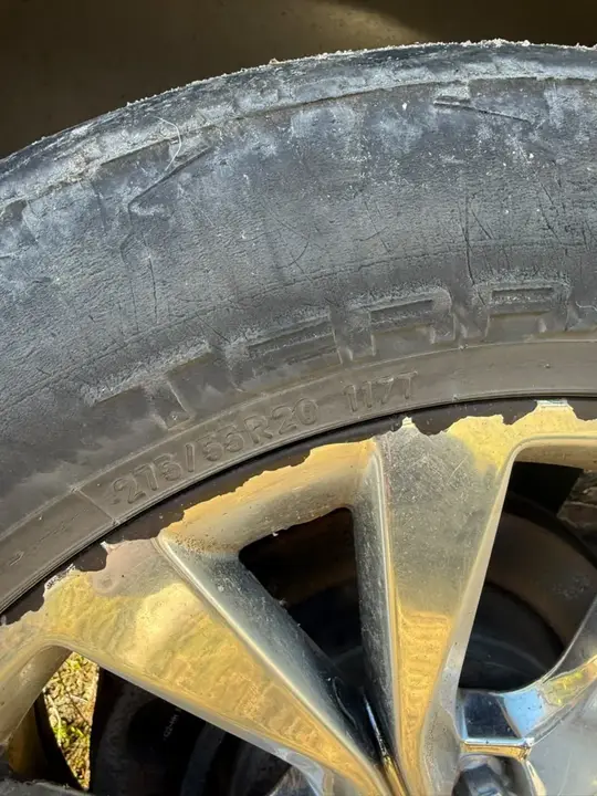 Ford F-150 2015 photo 4