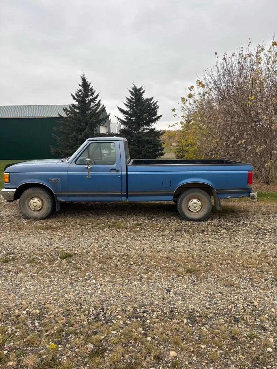 Ford F-150 1989 photo 4
