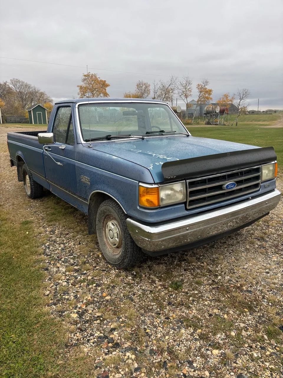 Ford F-150 1989 photo 5