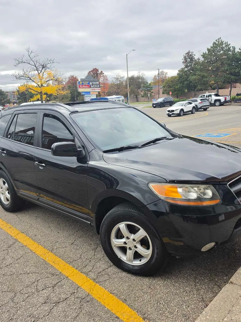 Hyundai Santa Fe 2009 photo 3