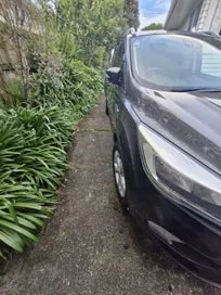 Ford Escape 2019 photo 4