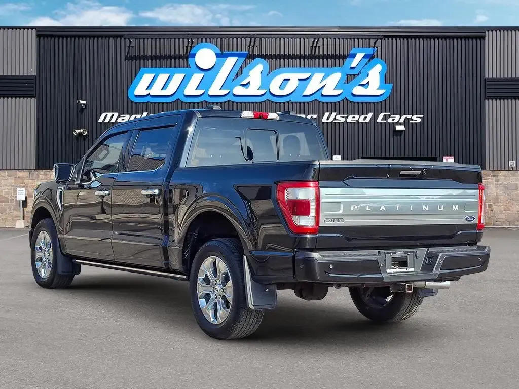 Ford F-150 2021 photo 3