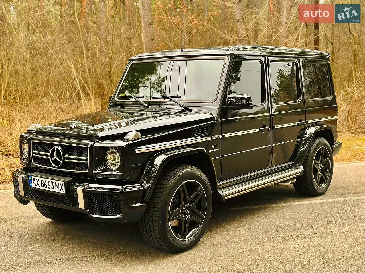 Mercedes-Benz G-Class 2010 photo 4