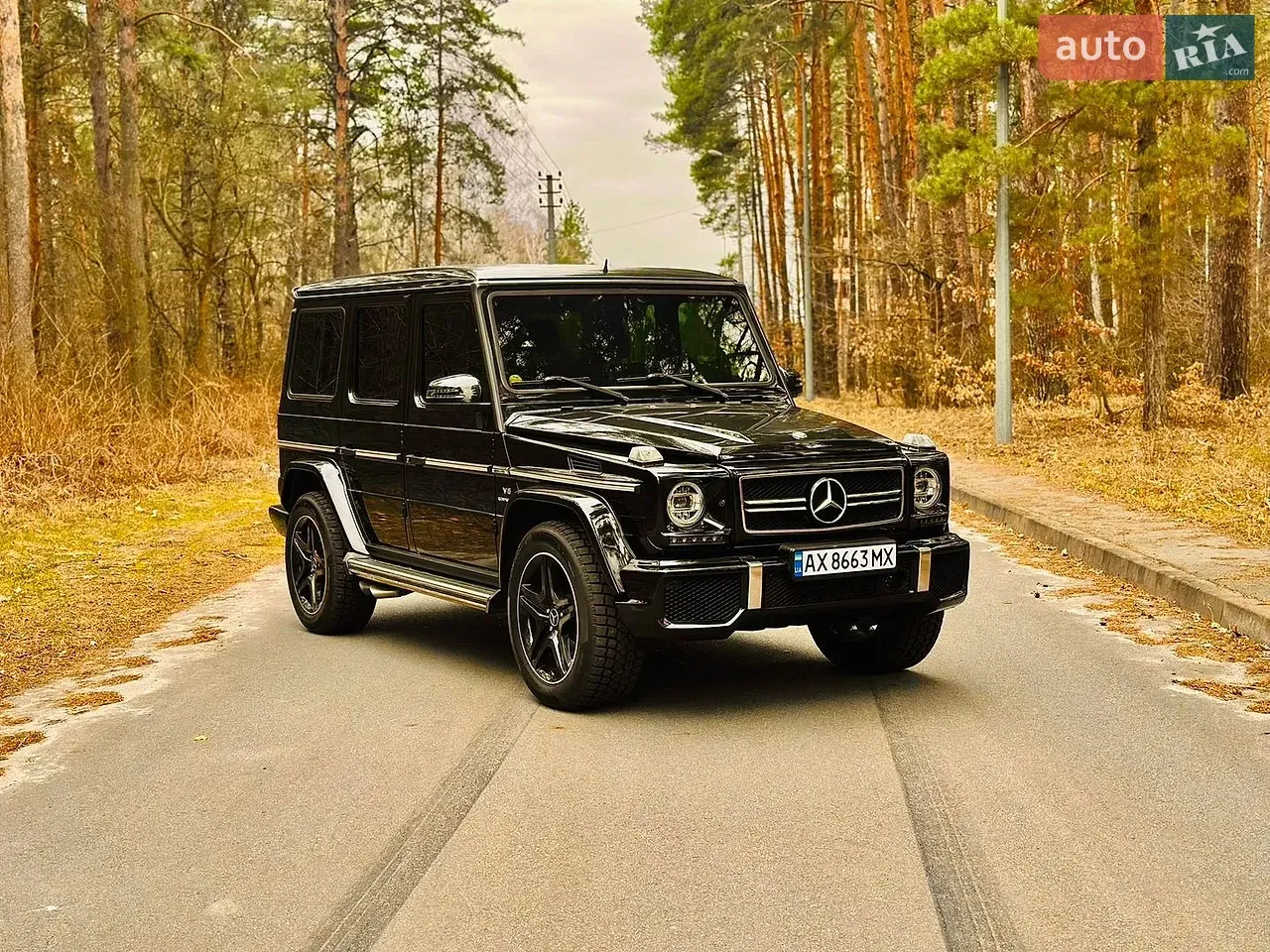 Mercedes-Benz G-Class 2010 photo 3