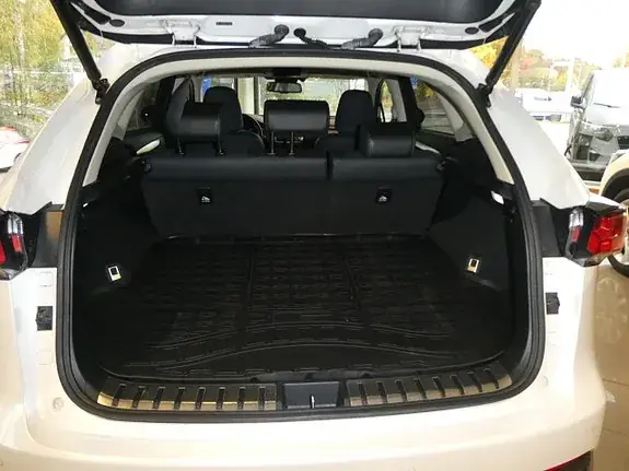 Lexus Nx300H 2018 photo 5