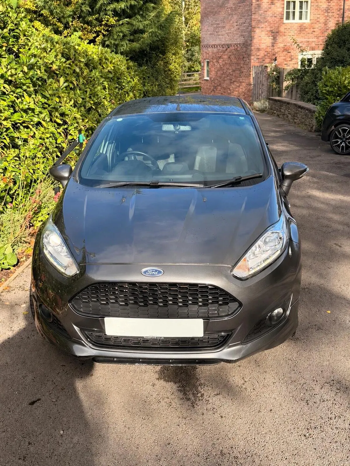 Ford Fiesta 2017 photo 2