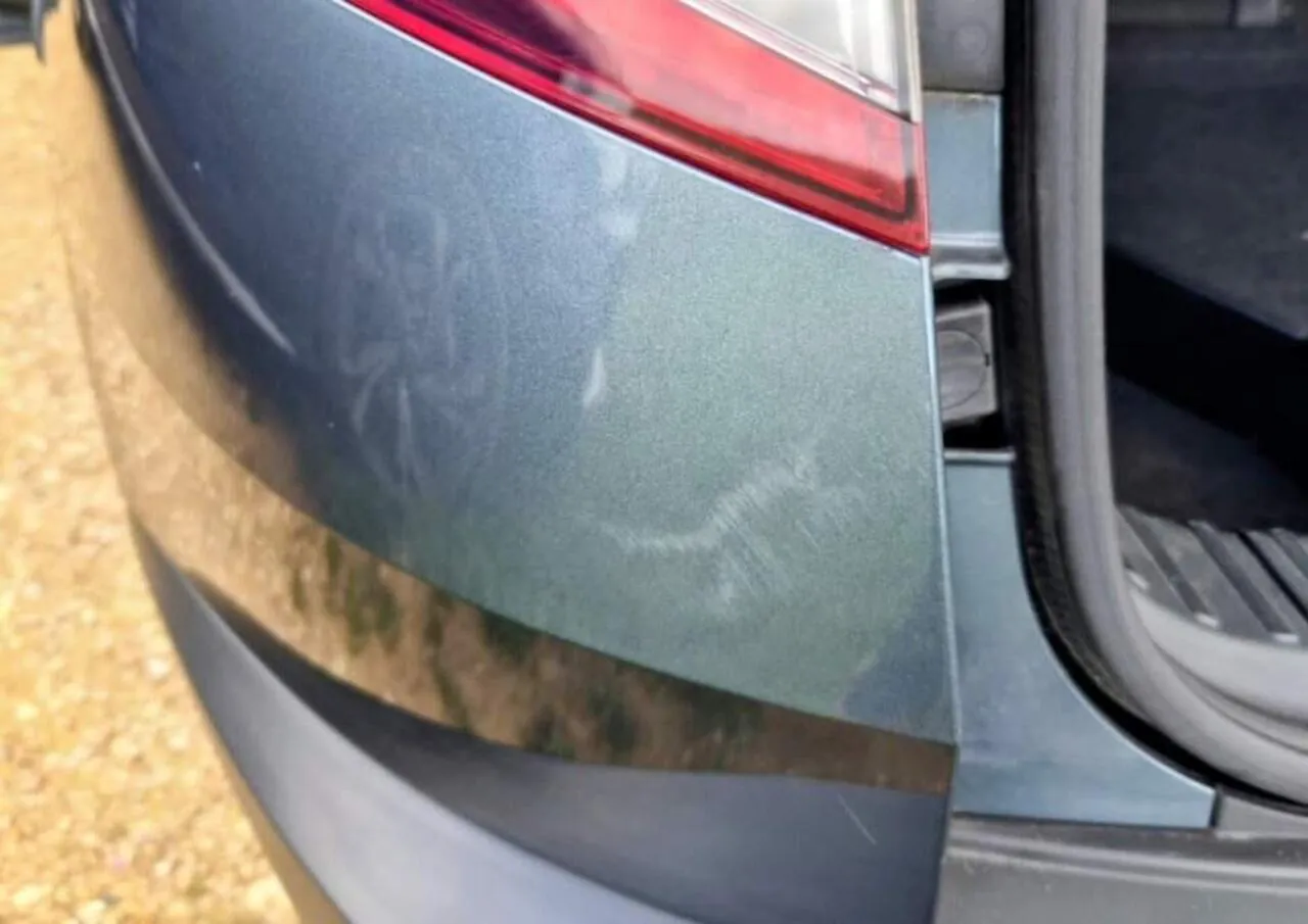 Skoda Karoq 2020 photo 5