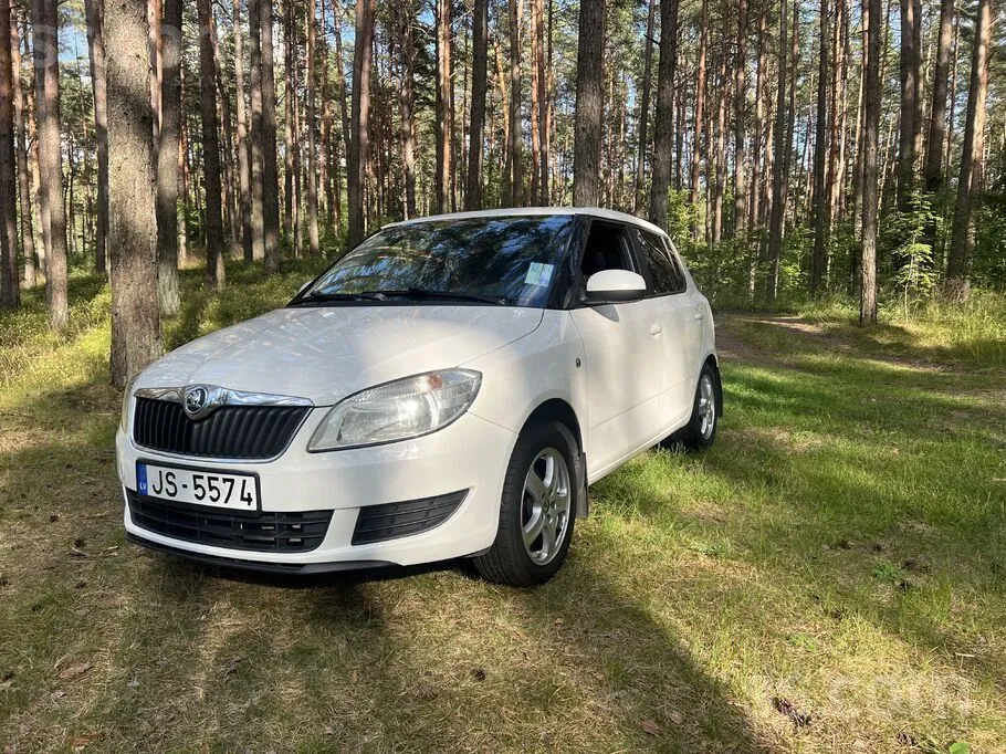Skoda Fabia 2014 photo 2