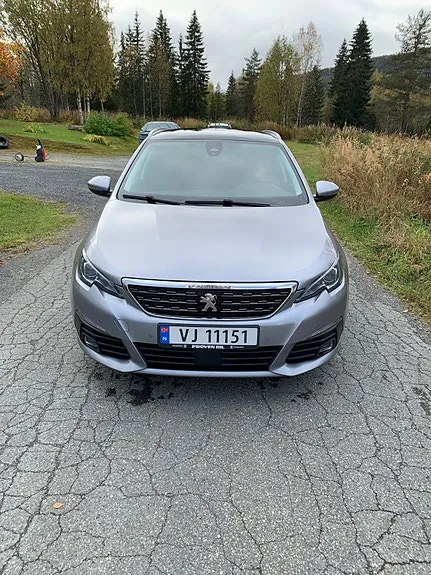 Peugeot 308 Sw 2019 photo 2