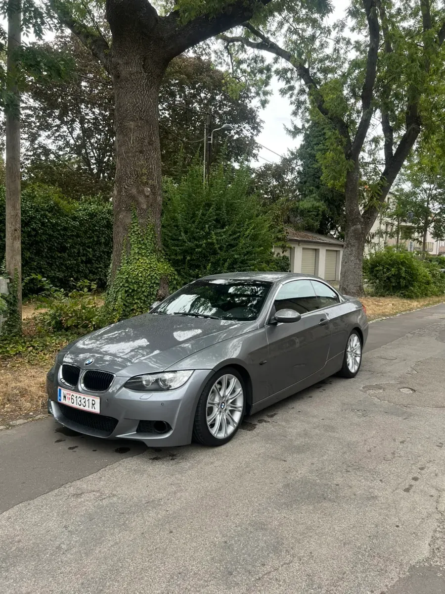 BMW 3 Series 2008 photo 2
